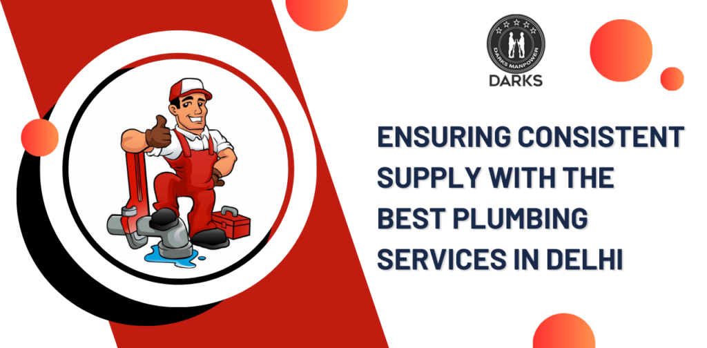 Best Plumbing Services in Delhi